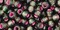 Toho 6/0 Round Japanese Seed Bead, TR6-2204, Silver Lined Frost Olivine Pink Lined